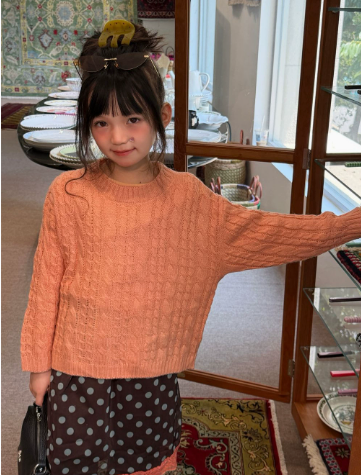 女の子用セーター 2026年秋冬新作 子供服 韓国スタイル  - Baby Clothing Jumper のレビューと価格